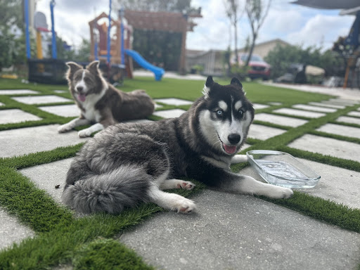 consulado Peruano Foreign Consulate of Peru in Hollywood