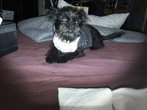 Pet Supply Store «Pet Food Express», reviews and photos, 3910 Middlefield Rd, Palo Alto, CA 94303, USA