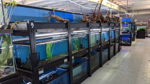 Aquarium «Skoolz of Fish», reviews and photos, 1503 Chamberlayne Ave, Richmond, VA 23222, USA