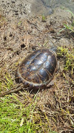 Water Park «Kentucky Splash WaterPark and Campground», reviews and photos, 1050 Kentucky 92, Williamsburg, KY 40769, USA