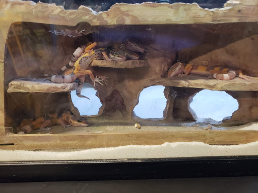 Pet Supply Store «Petco Animal Supplies», reviews and photos, 8909 Branch Ave d, Clinton, MD 20735, USA