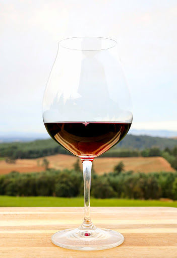 Vineyard «Willamette Valley Vineyards», reviews and photos, 8800 Enchanted Way SE, Turner, OR 97392, USA