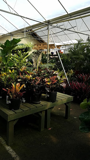 Garden Center «Pike Nurseries», reviews and photos, 6050 Bethelview Rd, Cumming, GA 30040, USA