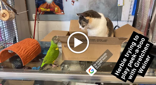 Explore catholic tattoo ideas for guys, creative tattoo ideas in Bartlesville, available at The Wall