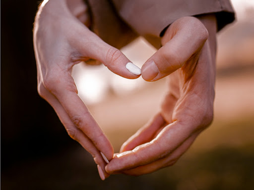 Florist «Flower A Day», reviews and photos, 2119 Grand Island Blvd, Grand Island, NY 14072, USA