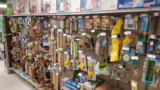 Tropical Fish Store «Pet Friendly Inc», reviews and photos, 845 Manitou Rd, Hilton, NY 14468, USA