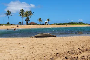 Salt Pond Beach Park image