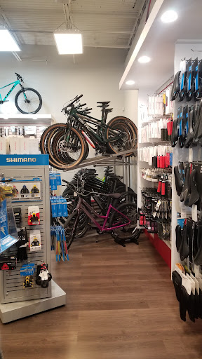 Bicycle Store «City Bikes Pembroke Pines», reviews and photos, 671 NW 100th Pl, Hollywood, FL 33024, USA