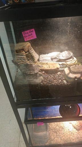 Pet Store «Pet Planet», reviews and photos, 11968 S Redwood Rd, Riverton, UT 84065, USA