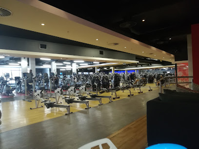 VIRGIN ACTIVE GYM BALFOUR PARK