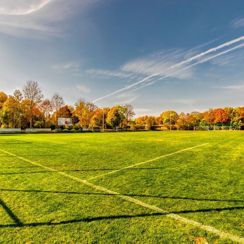 Sportplatz Bischleben