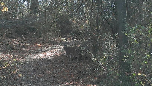 Golf Course «South Shore Golf Course», reviews and photos, 200 Huguenot Ave, Staten Island, NY 10312, USA