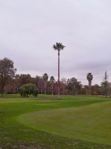 Golf Course «Antelope Greens Golf Course», reviews and photos, 2721 Elverta Rd, Antelope, CA 95843, USA