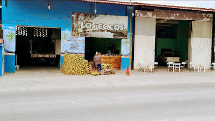 Cocos huescalapaa