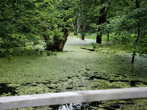 Nature Preserve «Great Flats Nature Trail», reviews and photos, W Campbell Rd, Schenectady, NY 12306, USA