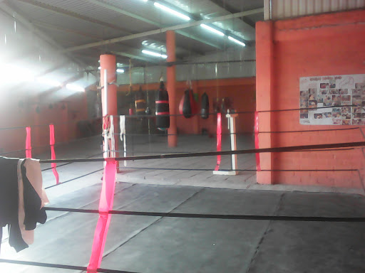 Boxing Club Castillo