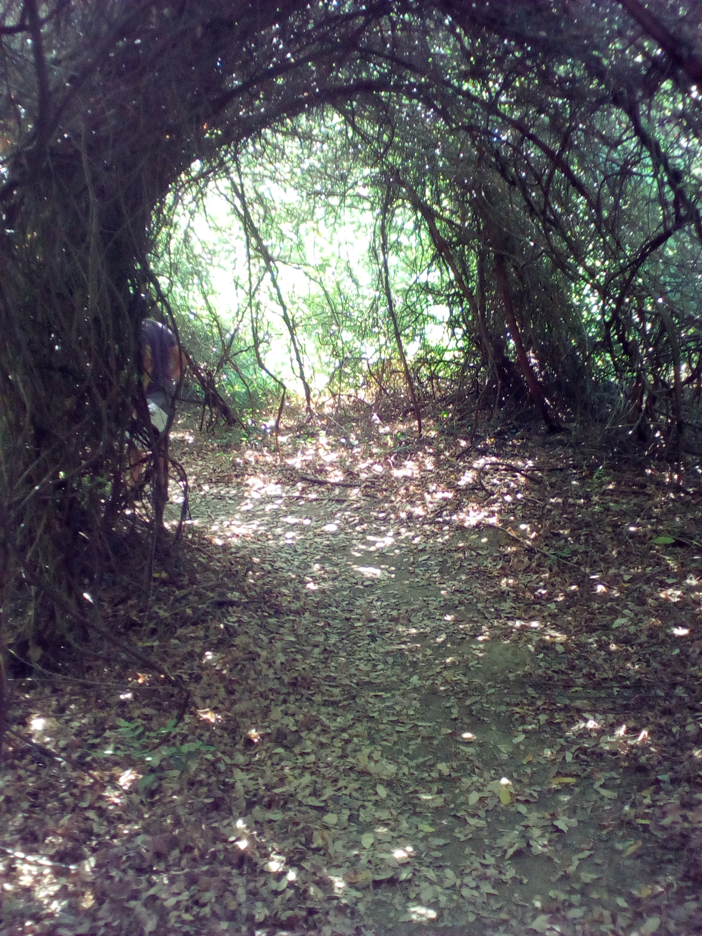 Photo n° 4 de l'avis de Chloe.a fait le 15/08/2017 à 12:59
