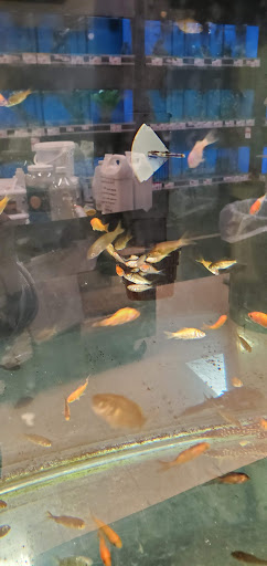 Pet Supply Store «Pet Supplies Plus», reviews and photos, 410 Springfield Ave, Berkeley Heights, NJ 07922, USA