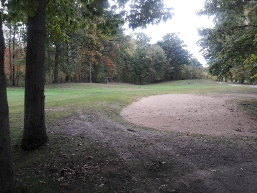 Public Golf Course «Reddeman Farms Golf & Banquets», reviews and photos, 555 S Dancer Rd, Chelsea, MI 48118, USA