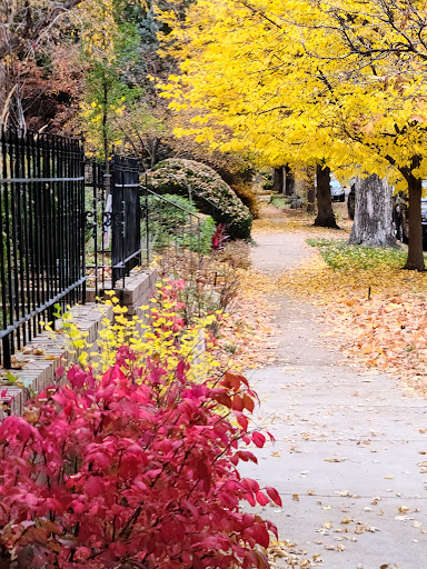 Park «Cheesman Park», reviews and photos, 1599 8th Ave, Denver, CO 80218, USA