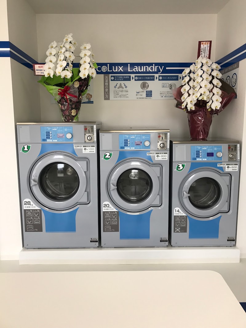 ecoLux Laundry