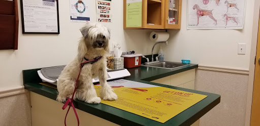 Great Bay Animal Hospital veterinary clinic