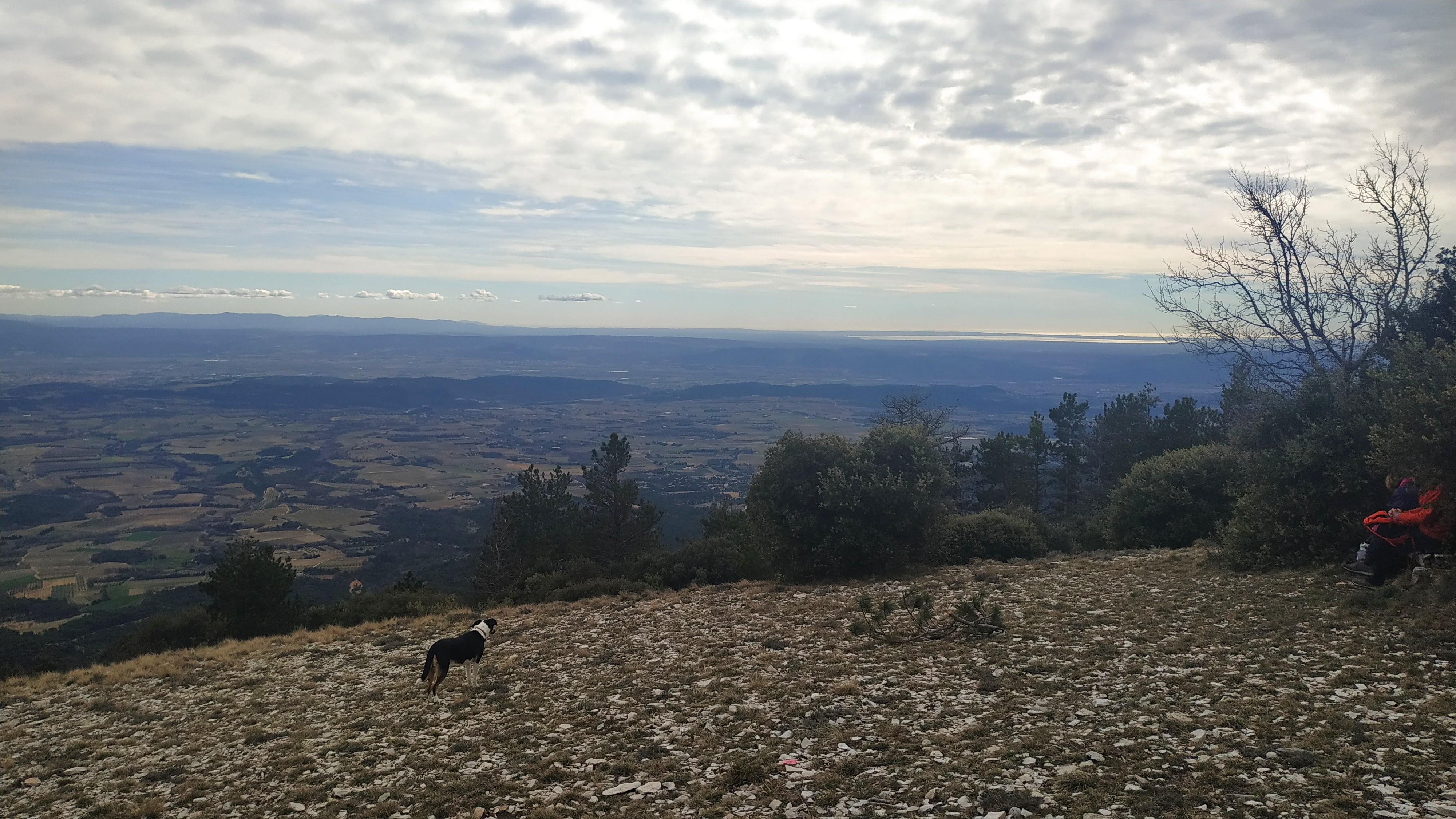 Photo n° 3 de l'avis de Adrien.. fait le 11/03/2019 à 22:42