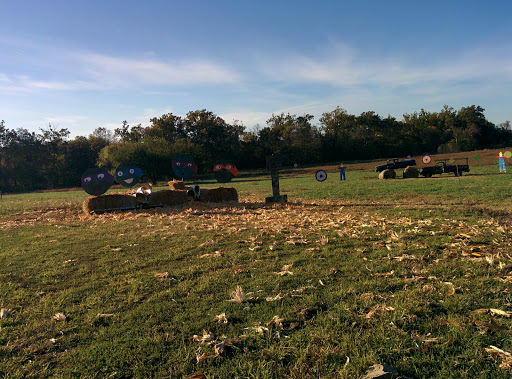 Festival «Temple Hall Fall Festival & Corn Maize», reviews and photos, 15855 Limestone School Rd, Leesburg, VA 20176, USA