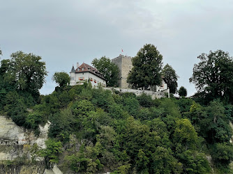 Petit-Vivy Castle
