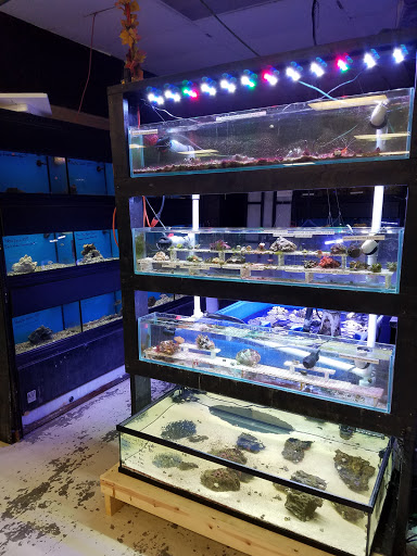 Pet Store «Pet Land», reviews and photos, 1450 Fort Campbell Blvd, Clarksville, TN 37042, USA