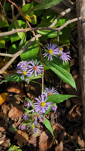 Nature Preserve «Jackson Bog State Nature Preserve», reviews and photos, 7984 Fulton Dr NW, Massillon, OH 44646, USA