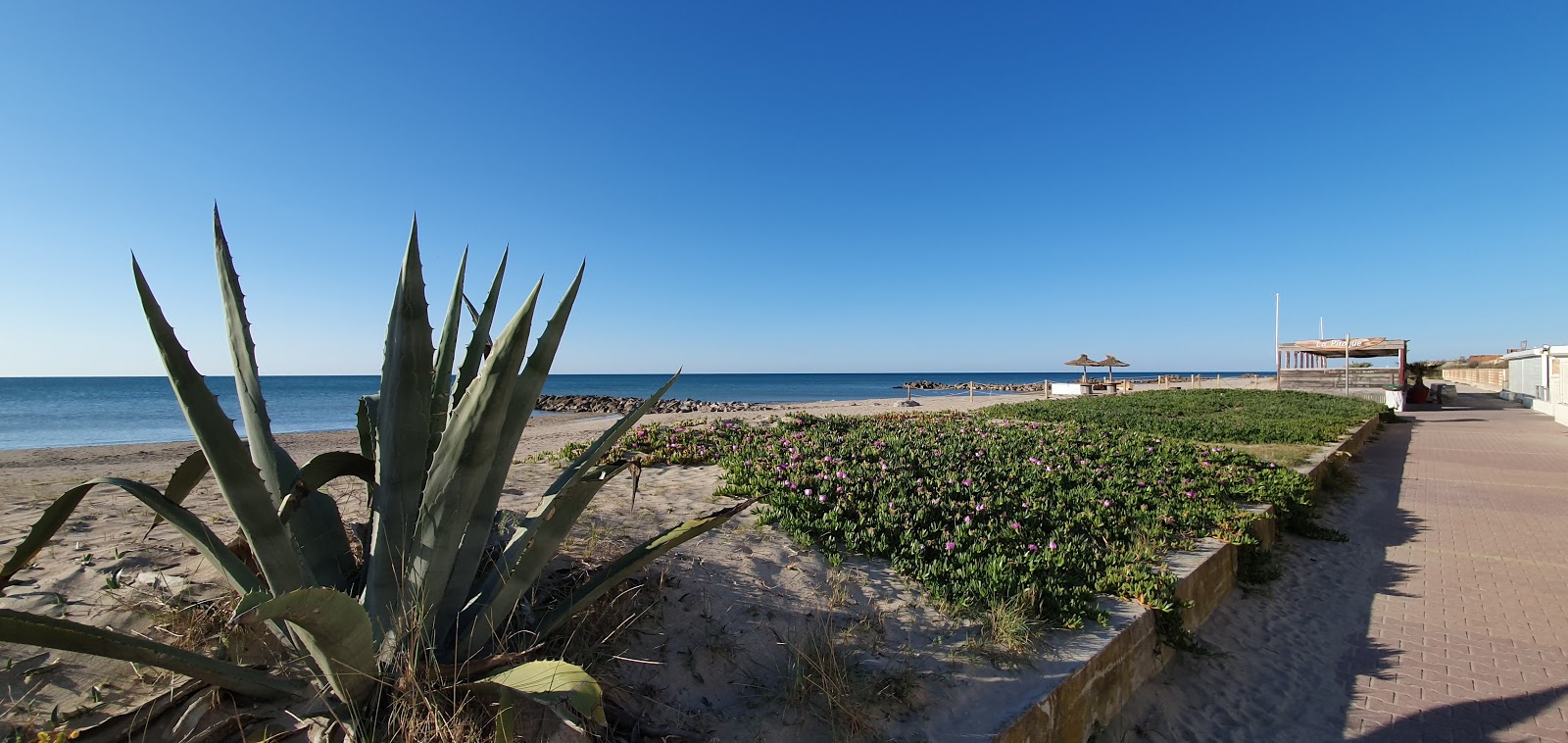 Frontignan plage'in fotoğrafı çok temiz temizlik seviyesi ile