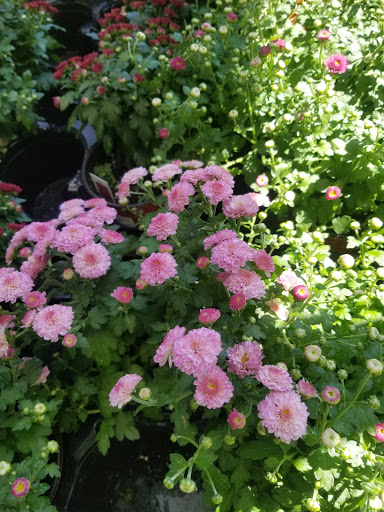 Home Improvement Store «Menards», reviews and photos, 17441 Weber Rd, Crest Hill, IL 60403, USA