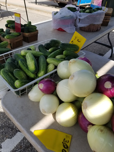 Supermarket «Mt Clemens farmers Market», reviews and photos, 135 N River Rd, Mt Clemens, MI 48043, USA