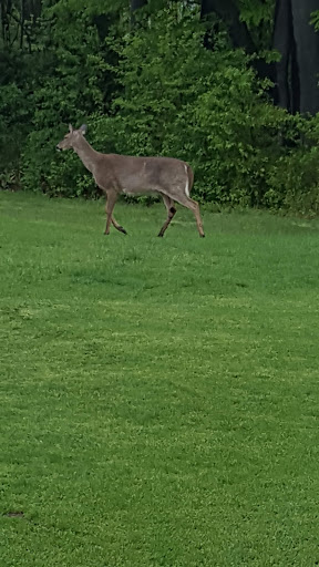 Golf Course «William F. Larkin Golf Course at Colonial Terrace», reviews and photos, 1003 Wickapecko Dr, Ocean Township, NJ 07712, USA