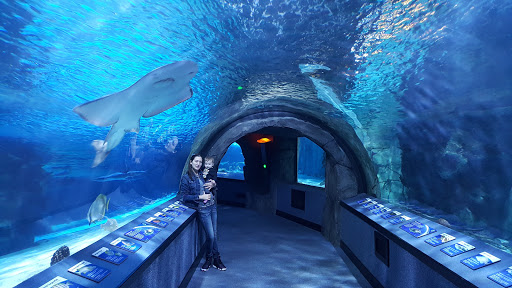 Aquarium «Newport Aquarium», reviews and photos, 1 Aquarium Way, Newport, KY 41071, USA