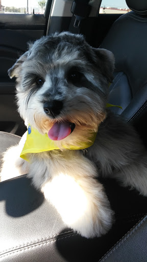 Pet Supply Store «PetSmart», reviews and photos, 7765 Airport Blvd #901, Mobile, AL 36608, USA