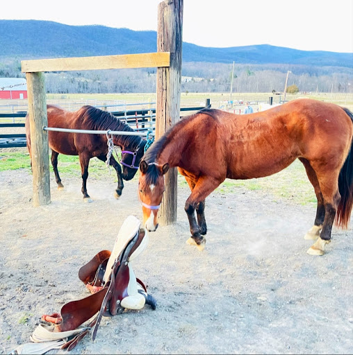 Horseback Riding Service «Secret Passage Ranch», reviews and photos, 321 Spring Mountain Way, Fort Valley, VA 22652, USA