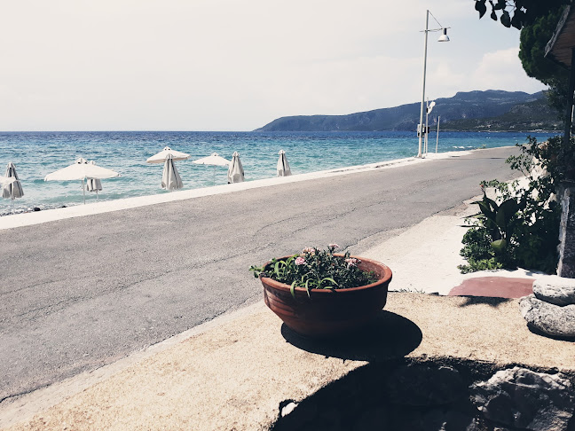 Σχόλια και κριτικές για το Ταβέρνα Γιαλός