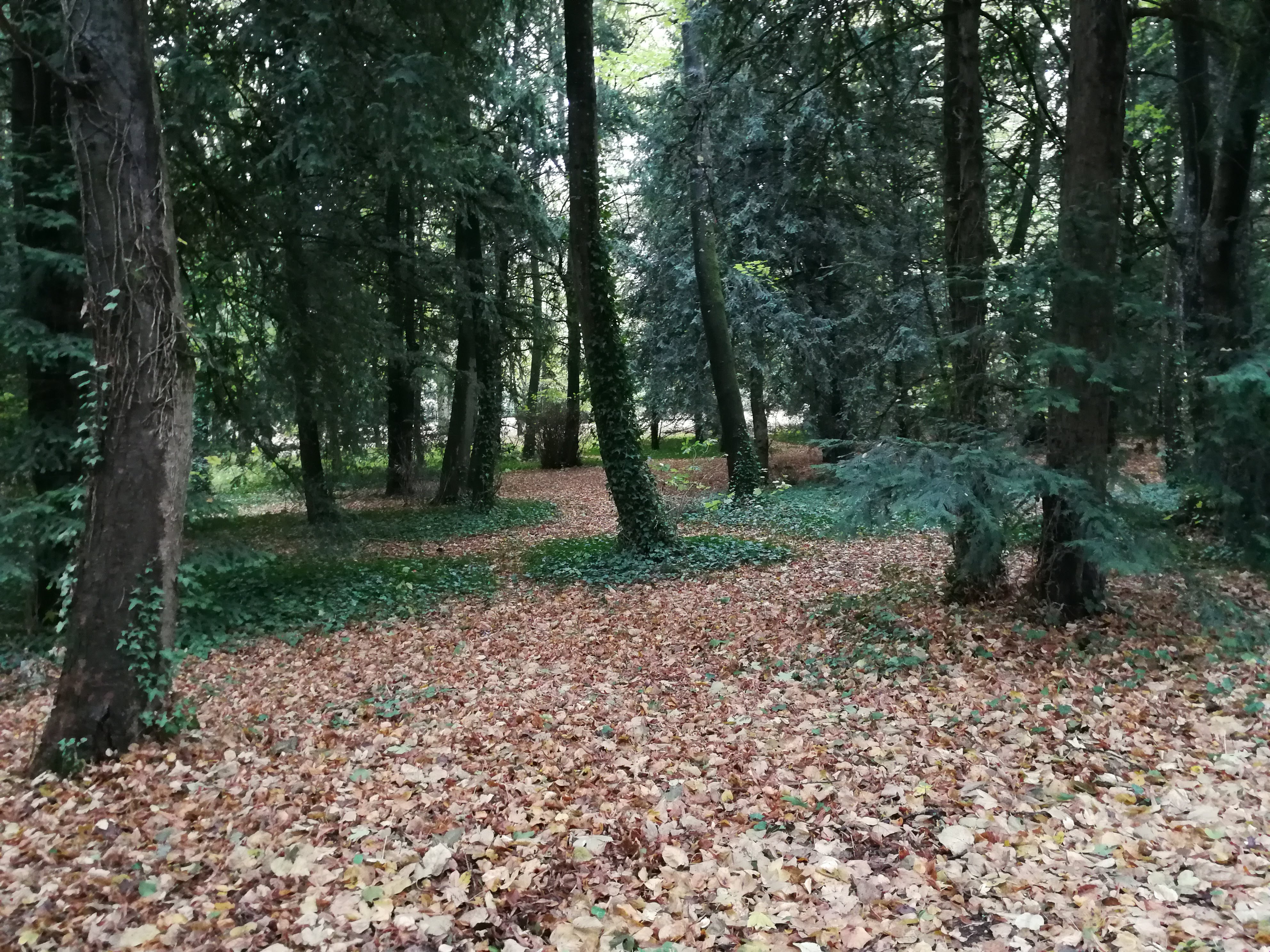 Photo n° 12 de l'avis de Francoise.o fait le 30/08/2018 à 14:33