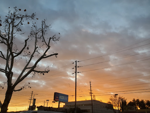 Asian Grocery Store «99 Ranch Market», reviews and photos, 6450 Sepulveda Blvd, Van Nuys, CA 91411, USA