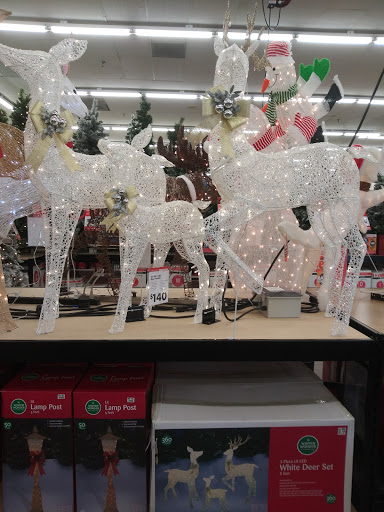 Discount Store «Big Lots», reviews and photos, 2412 S Volusia Ave, Orange City, FL 32763, USA