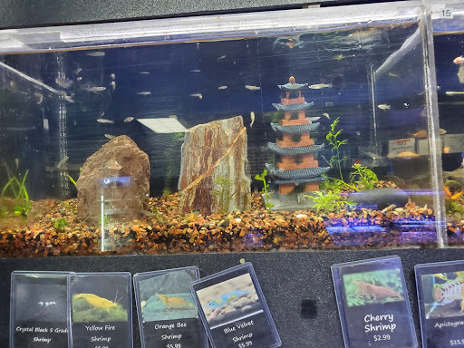 Tropical Fish Store «Aquatic Design», reviews and photos, 1629 N Central Expy, Plano, TX 75075, USA