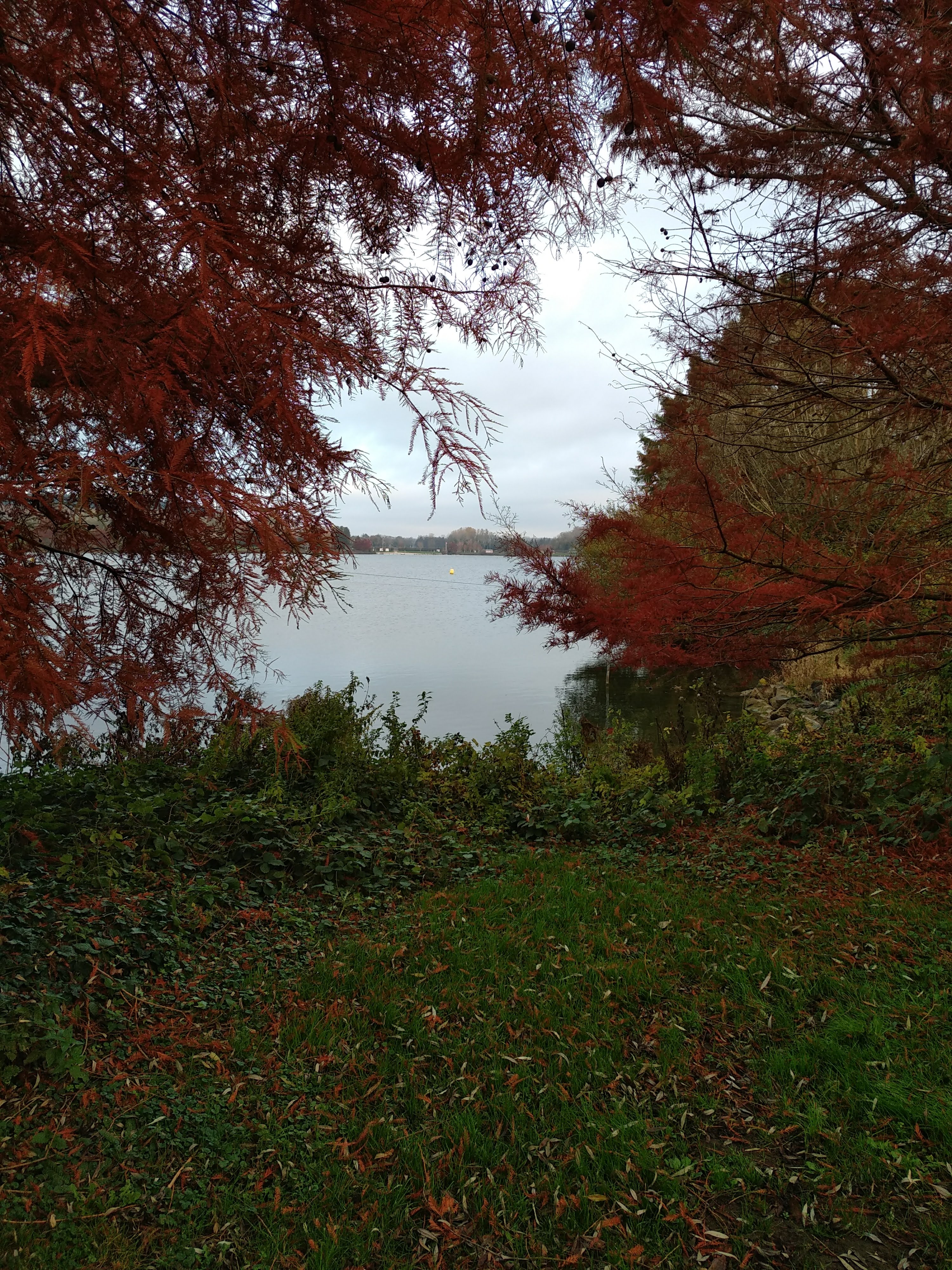 Photo n° 1 de l'avis de Ahmad.a fait le 15/11/2020 à 12:40