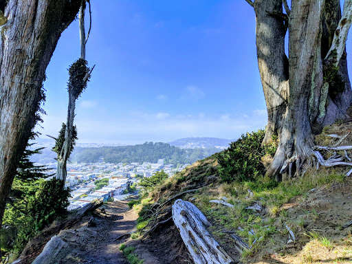 Tourist Attraction «16th Avenue Tiled Steps», reviews and photos, 16th Ave, San Francisco, CA 94122, USA