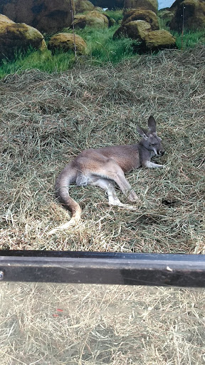 Book Store «Barnes & Noble», reviews and photos, 1 E Towne Mall, Madison, WI 53704, USA