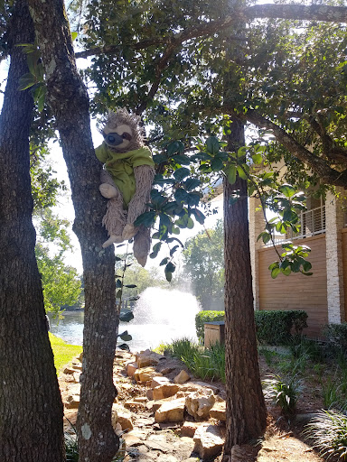 Golf Course «Golf Trails of the Woodlands», reviews and photos, 2311 N Millbend Dr, The Woodlands, TX 77380, USA