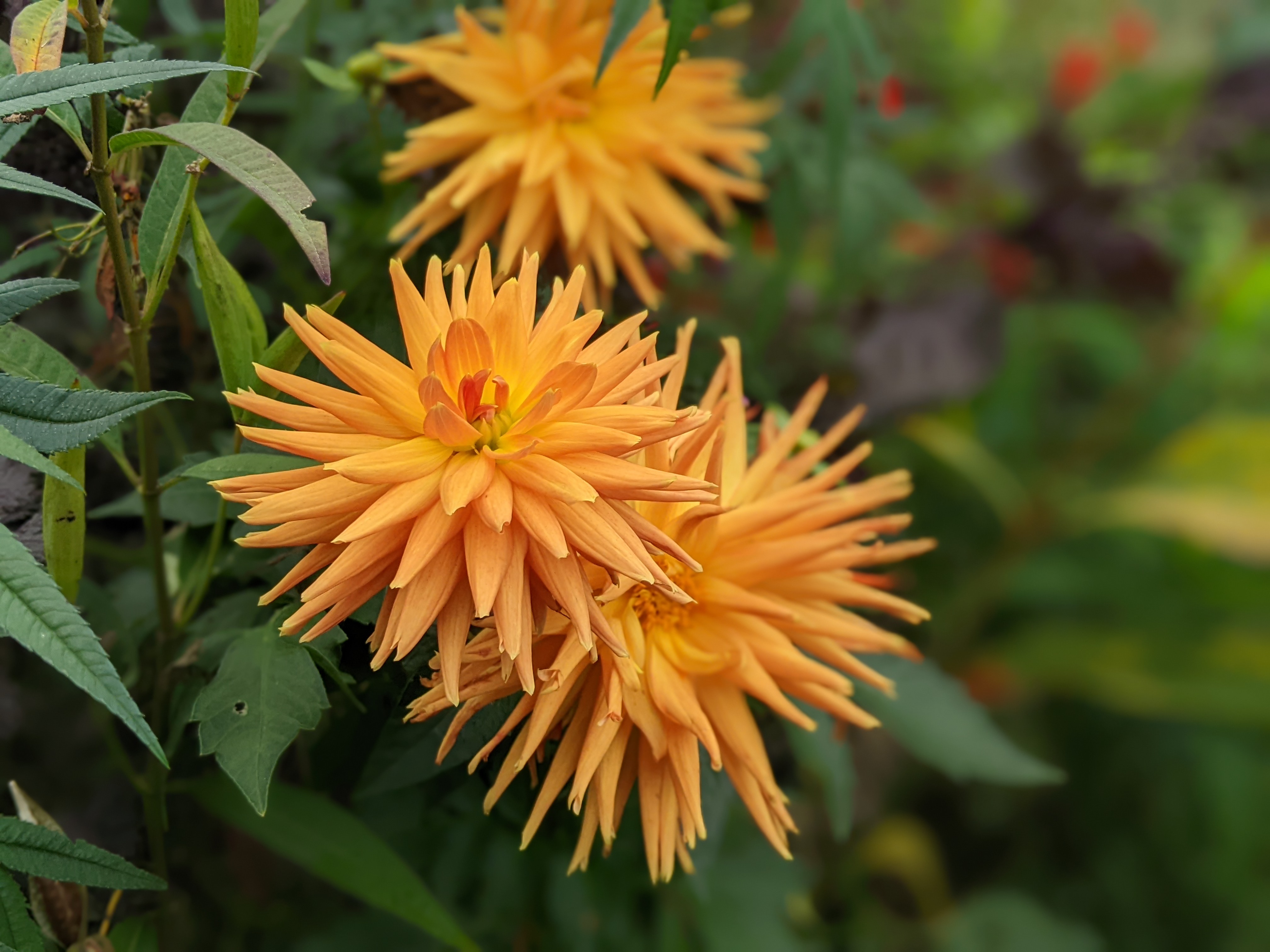 Photo n° 13 de l'avis de konrad.a fait le 08/11/2022 à 15:06