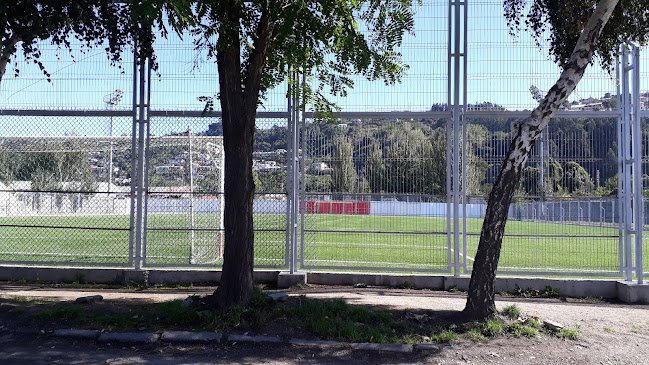Opiniones de Estadio San Vicente en Talcahuano - Campo de fútbol