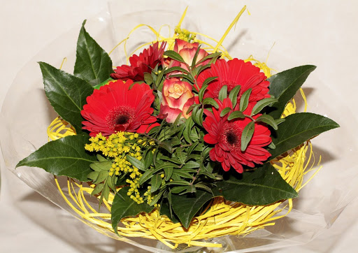 Nature Preserve «Emerson Point Preserve», reviews and photos, 5801 17th St W, Palmetto, FL 34221, USA